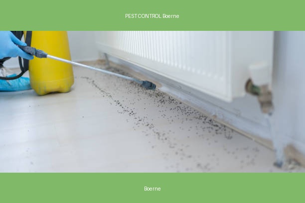 PEST CONTROL Boerne